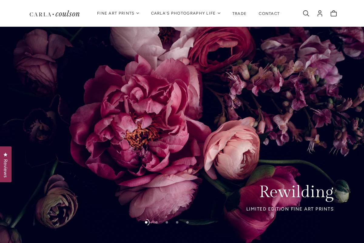 carlacoulsonprints.com homepage screenshot
