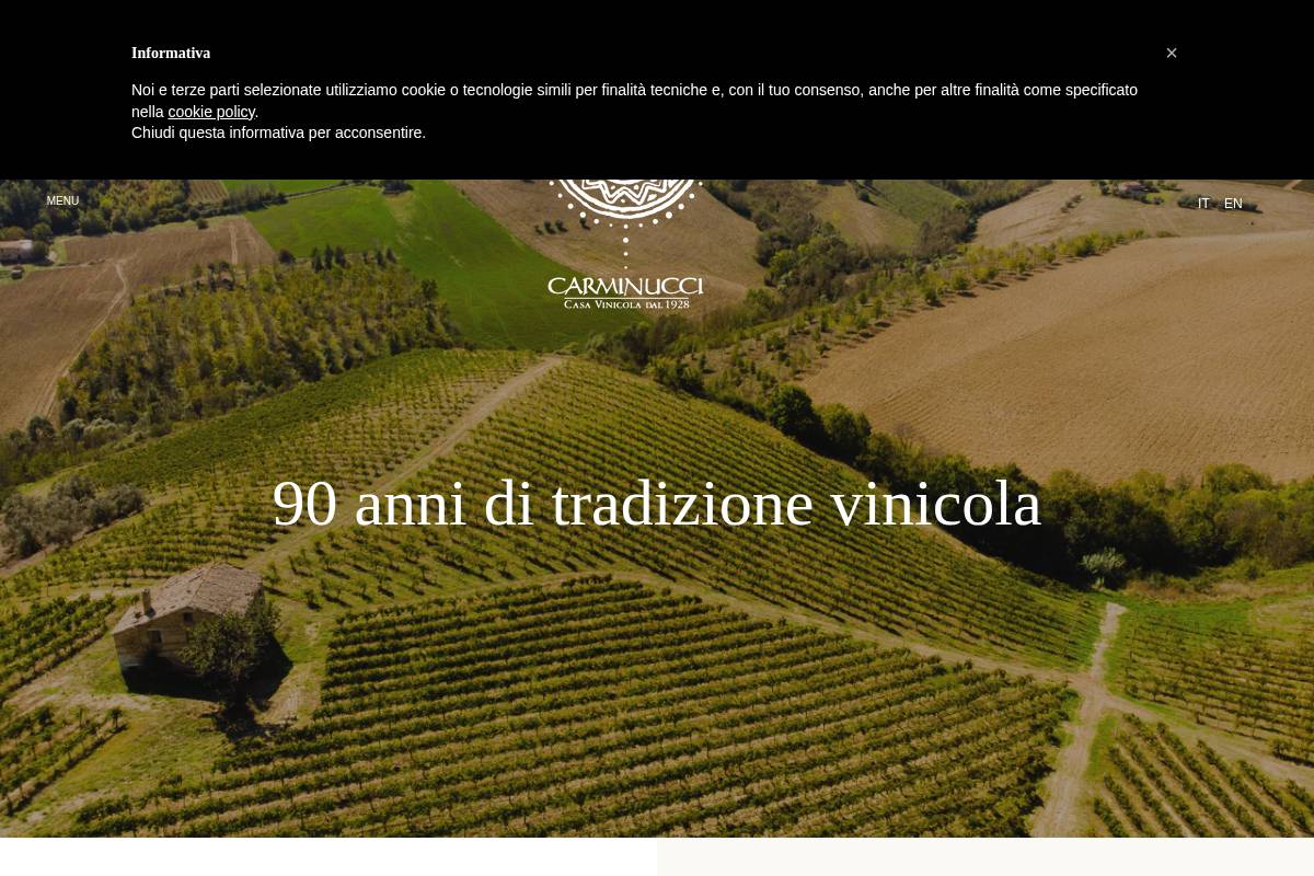 carminucci.com homepage screenshot