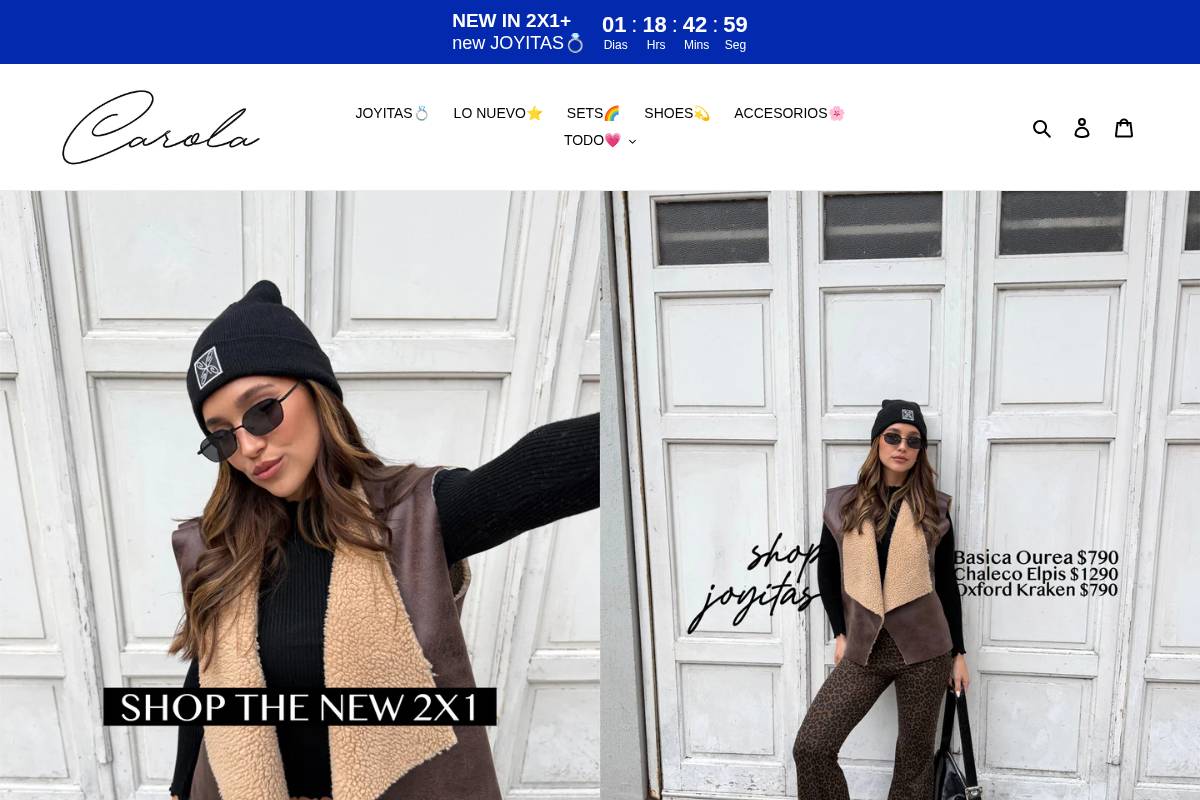 carolastore.com homepage screenshot