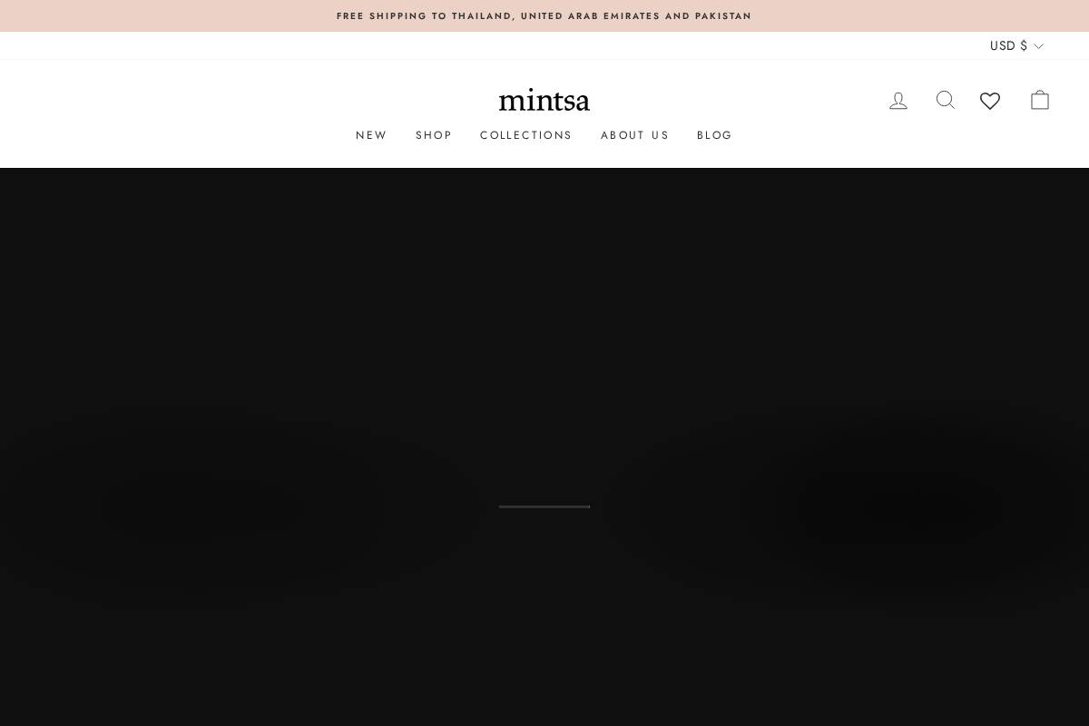carrymintsa.com homepage screenshot