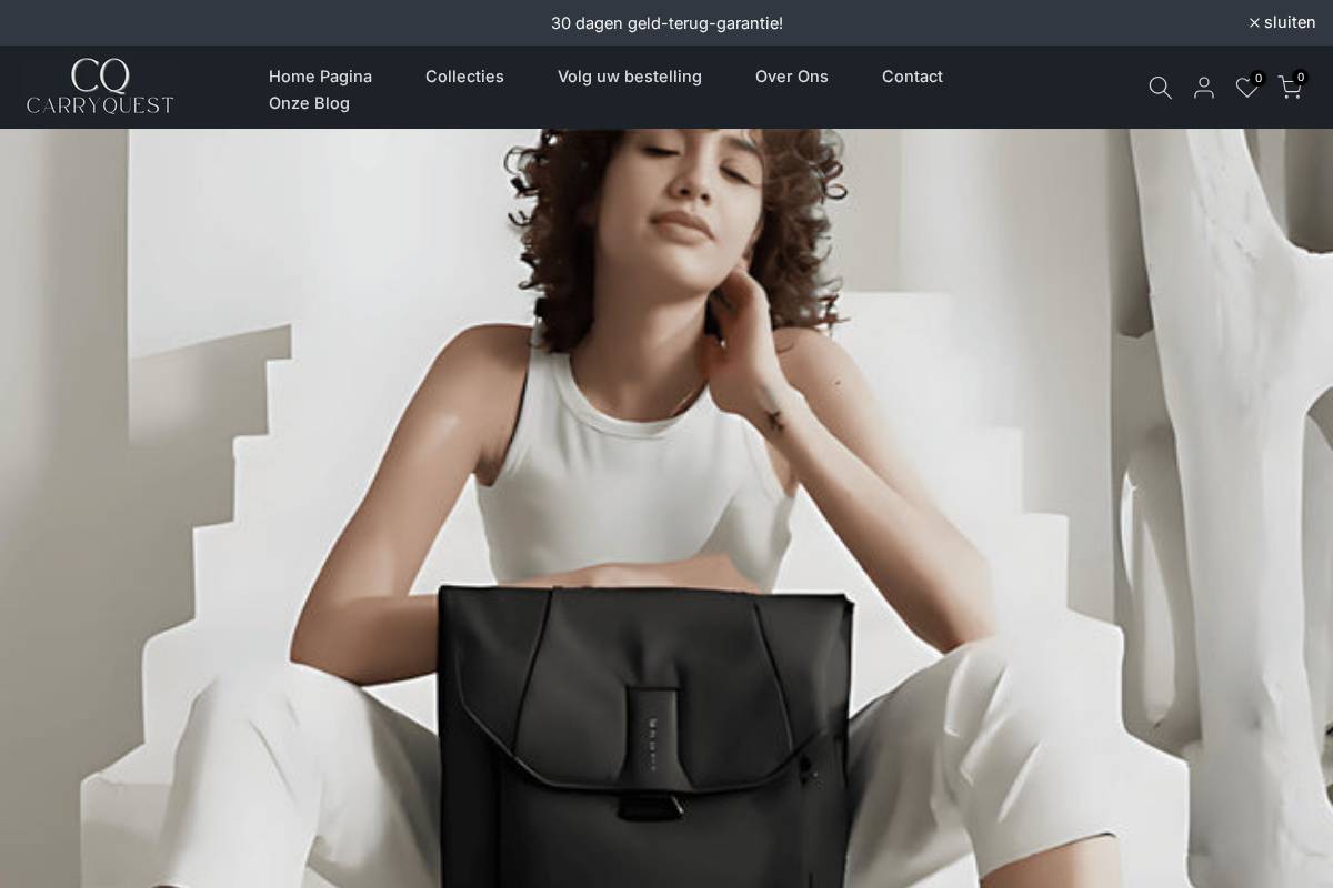 carryquest.nl homepage screenshot