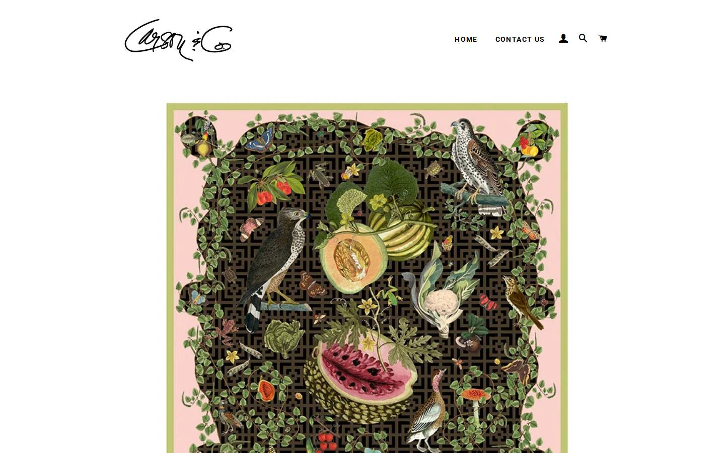 carsonandco.com homepage screenshot