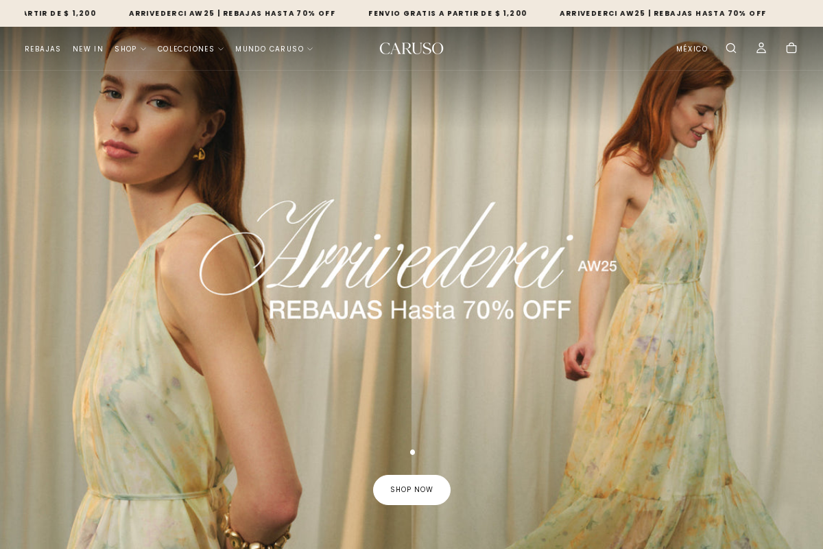 CARUSO homepage screenshot