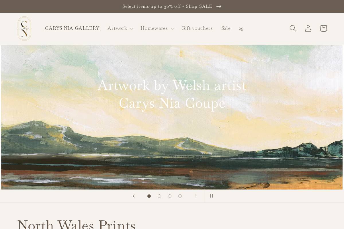 carysniagallery.com homepage screenshot