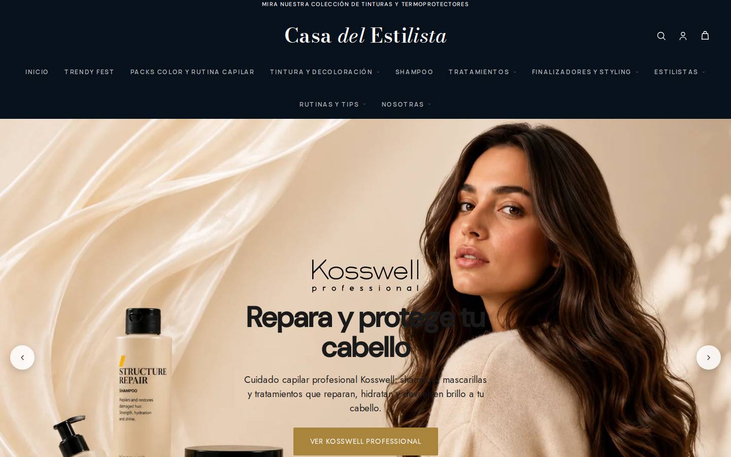 casadelestilista.cl homepage screenshot