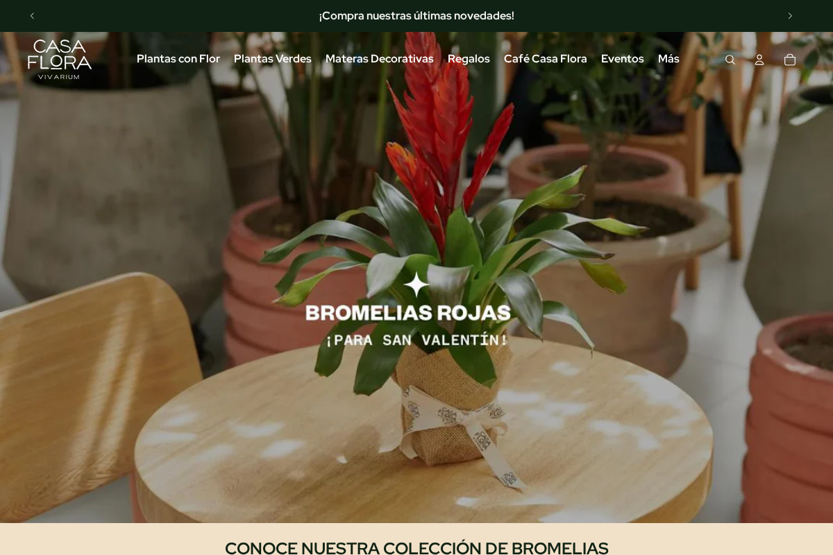 casafloravivarium.com homepage screenshot