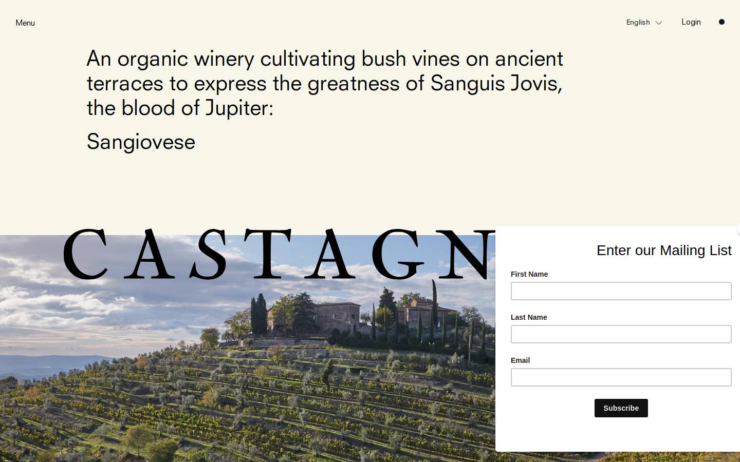 castagnoliwine.com homepage screenshot