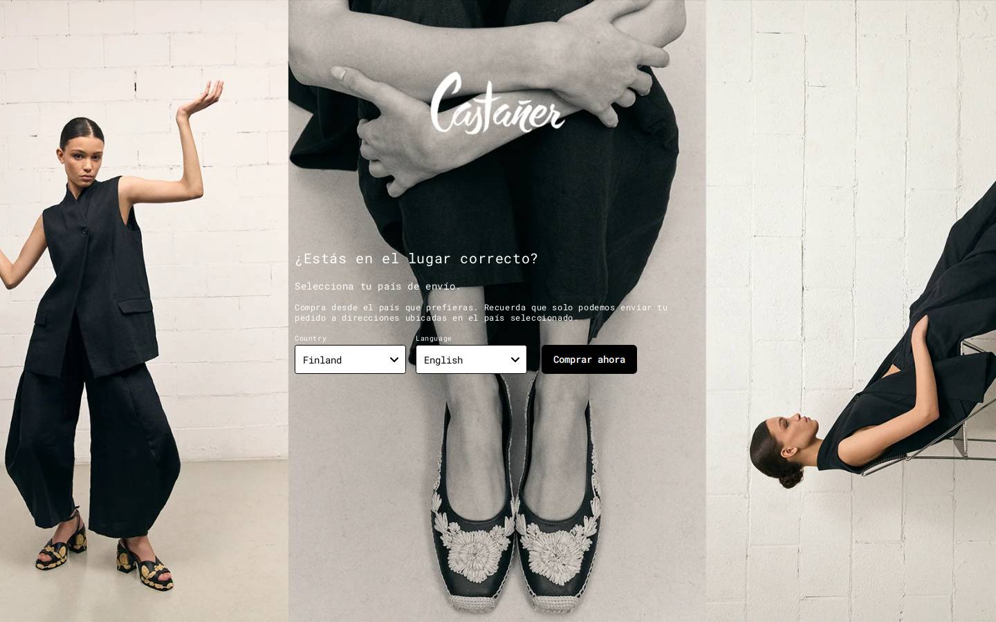 castanerchile.cl homepage screenshot