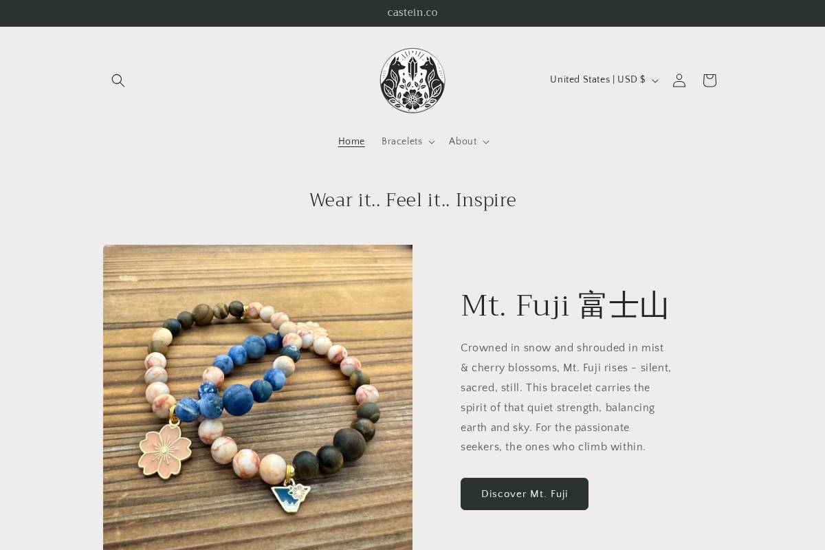 castein.co homepage screenshot