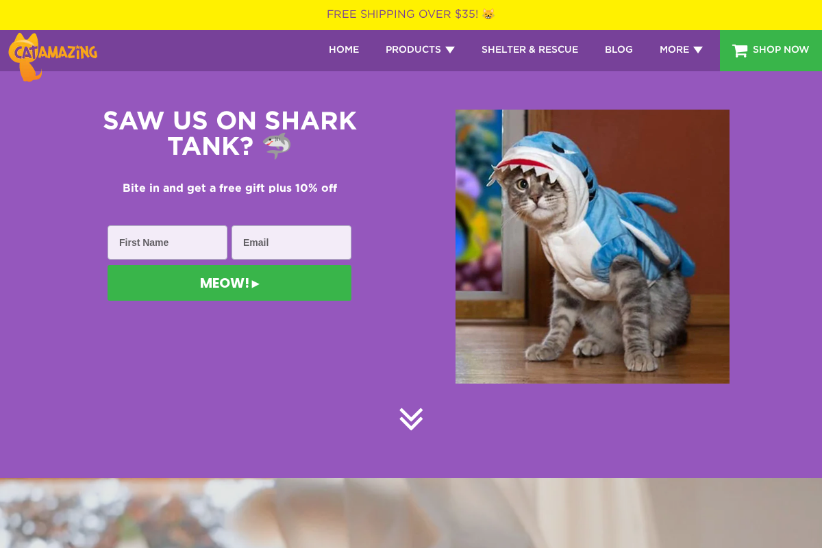 catamazing.com homepage screenshot