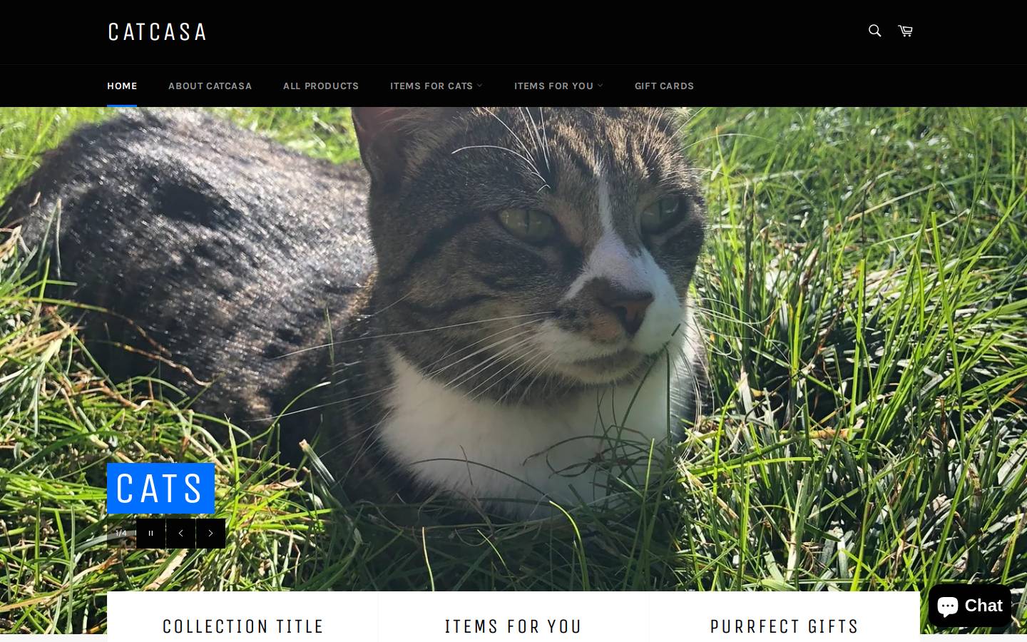 catcasa.co homepage screenshot