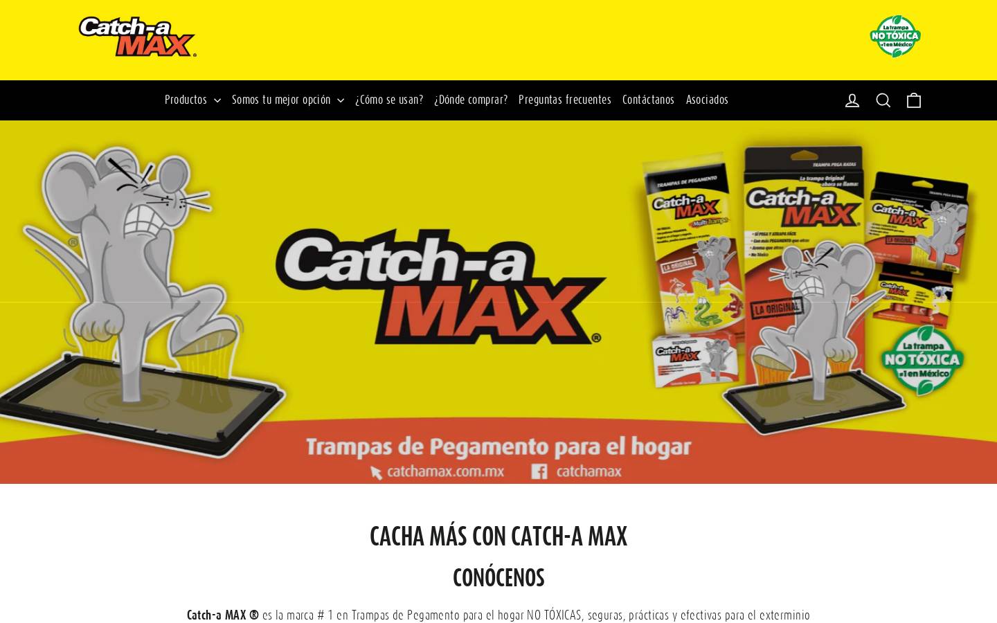 catchamax.com.mx homepage screenshot