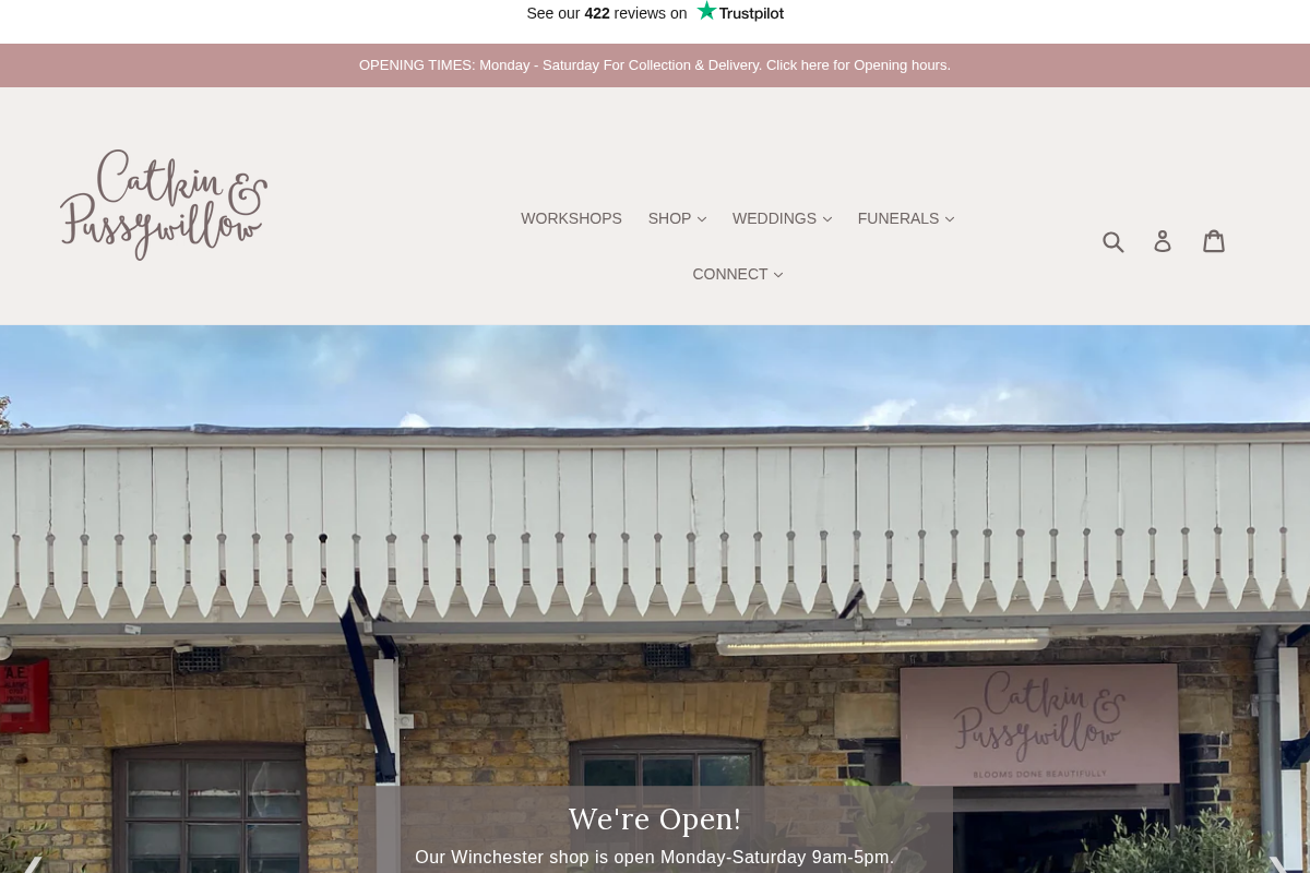 Catkin & Pussywillow homepage screenshot