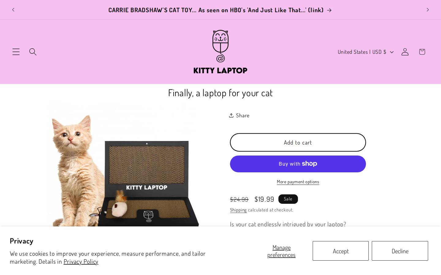 catlaptops.com homepage screenshot