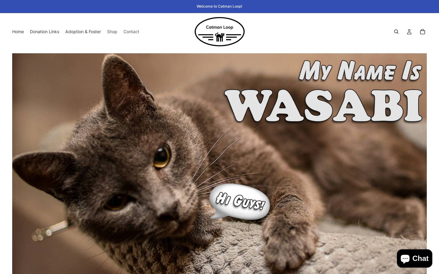 catmanloop.com homepage screenshot