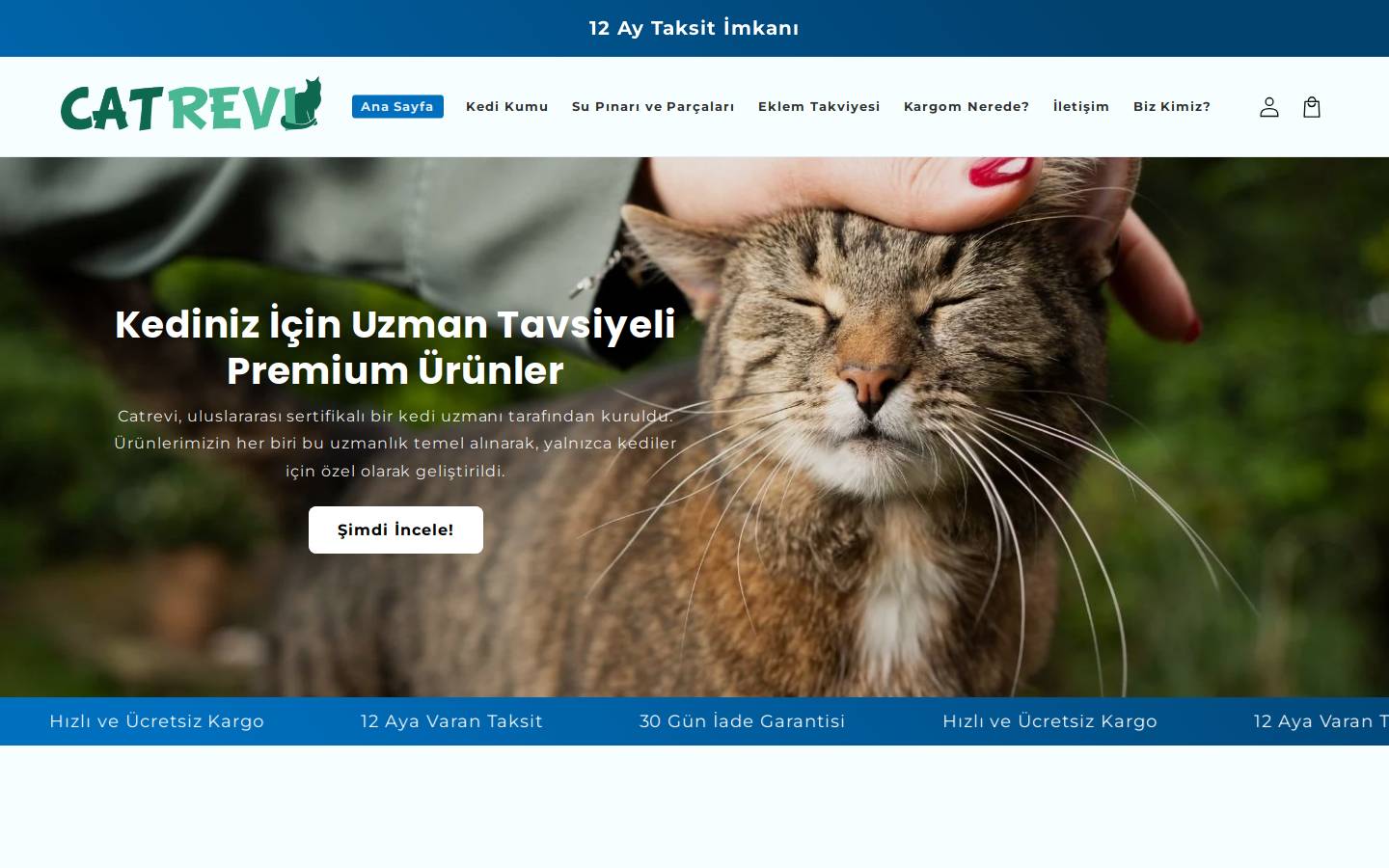 catrevi.com homepage screenshot