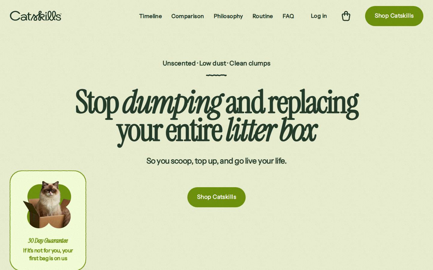 catskills.co homepage screenshot