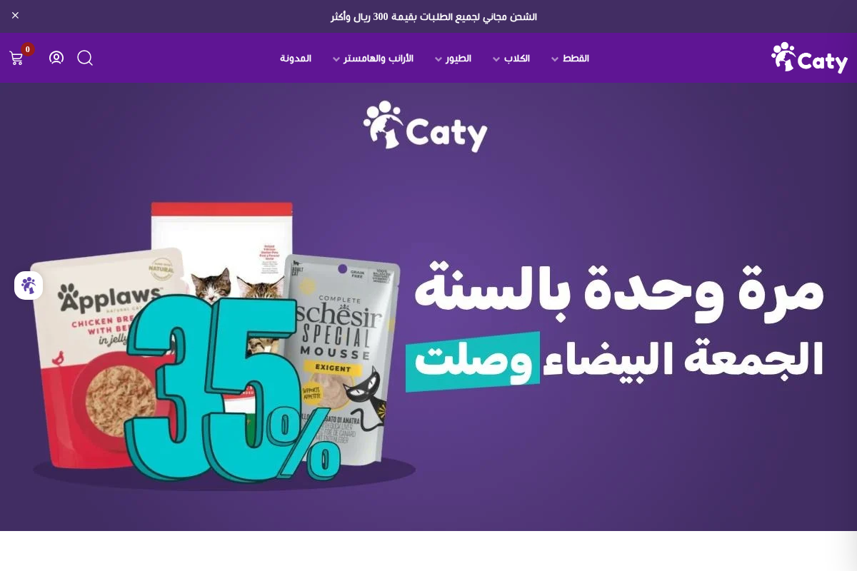 Caty Store homepage screenshot