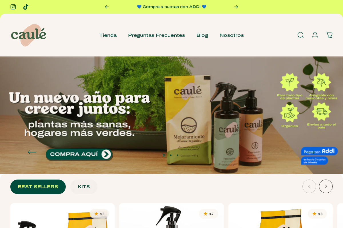 Caulé Happy Plants homepage screenshot