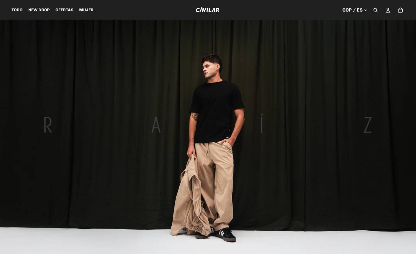cavilar.com.co homepage screenshot