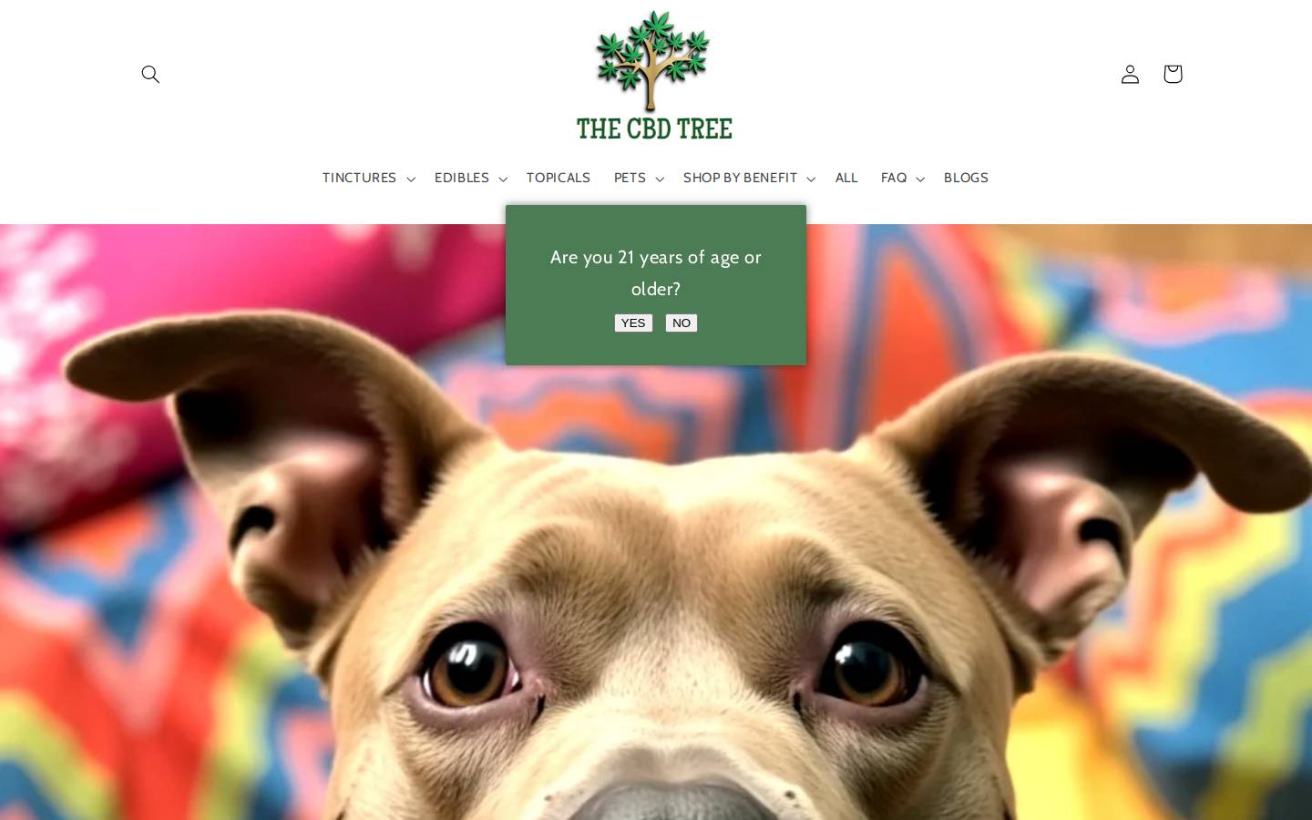 cbdtreestore.com homepage screenshot