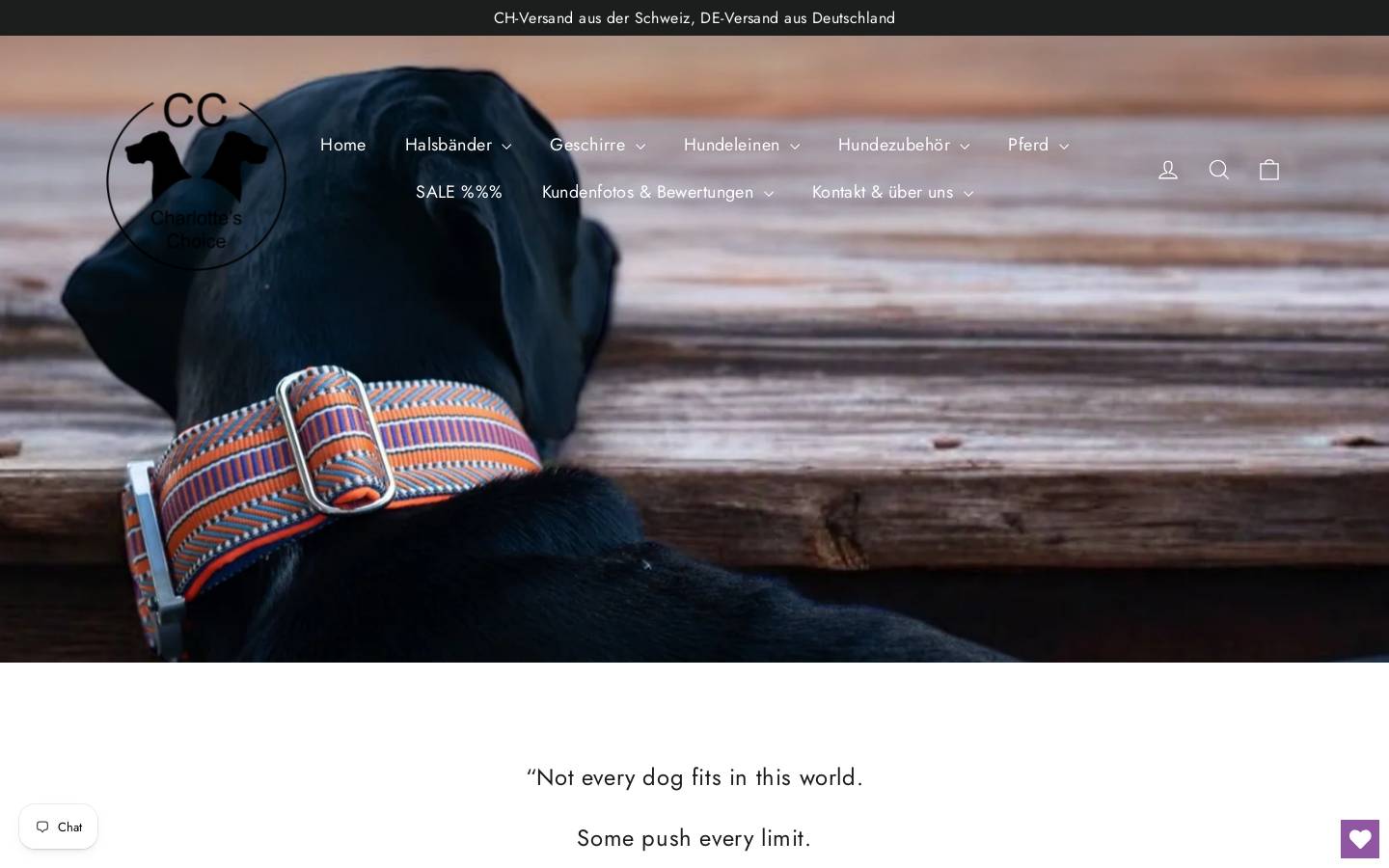 cc-hh.ch homepage screenshot