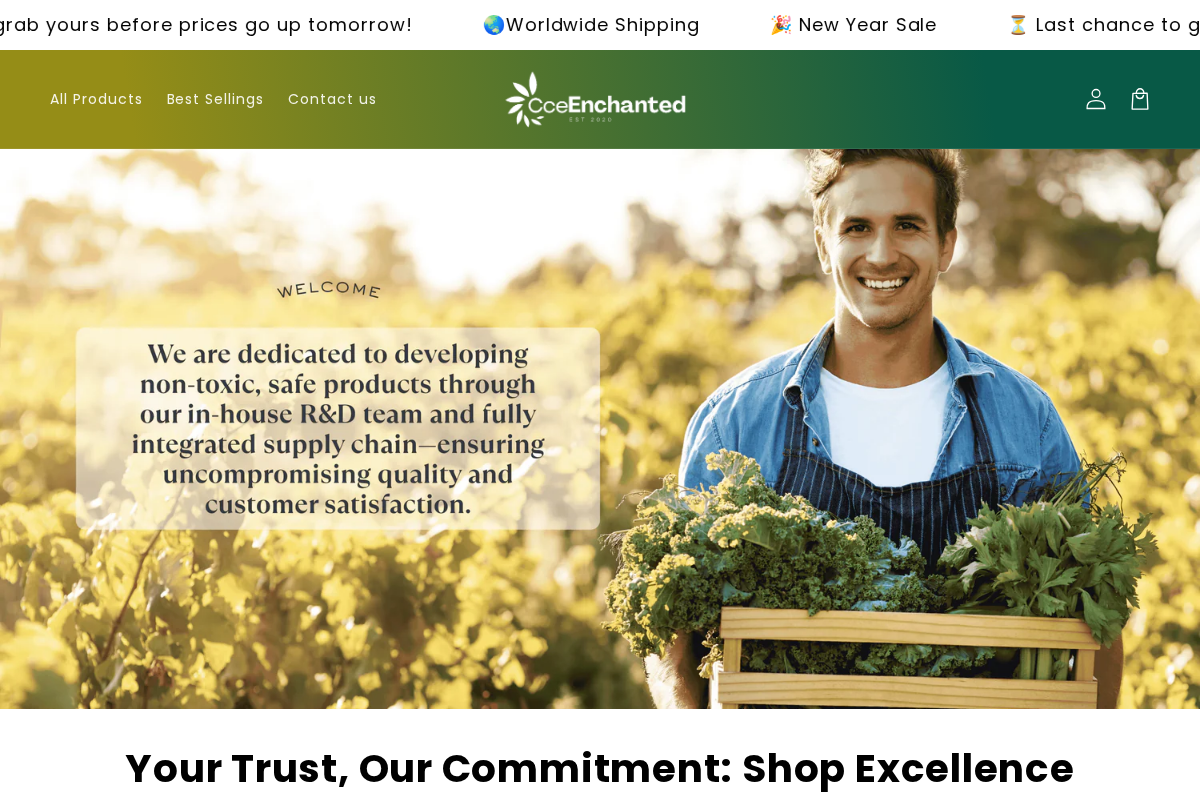 Cce Enchanted Store homepage screenshot