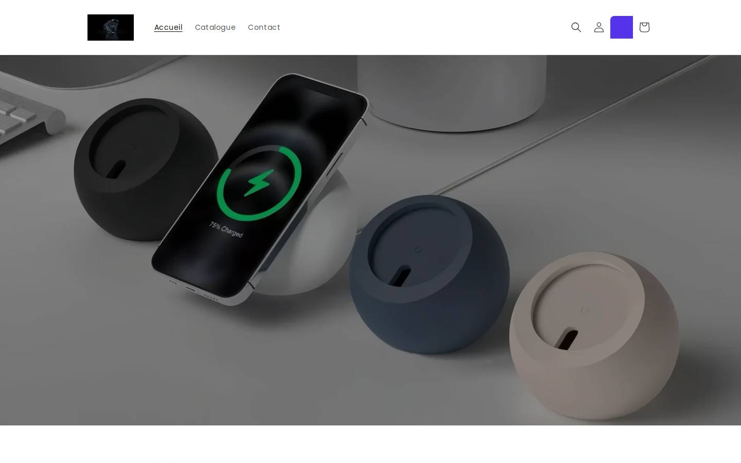 cedomainepourdsa.com homepage screenshot