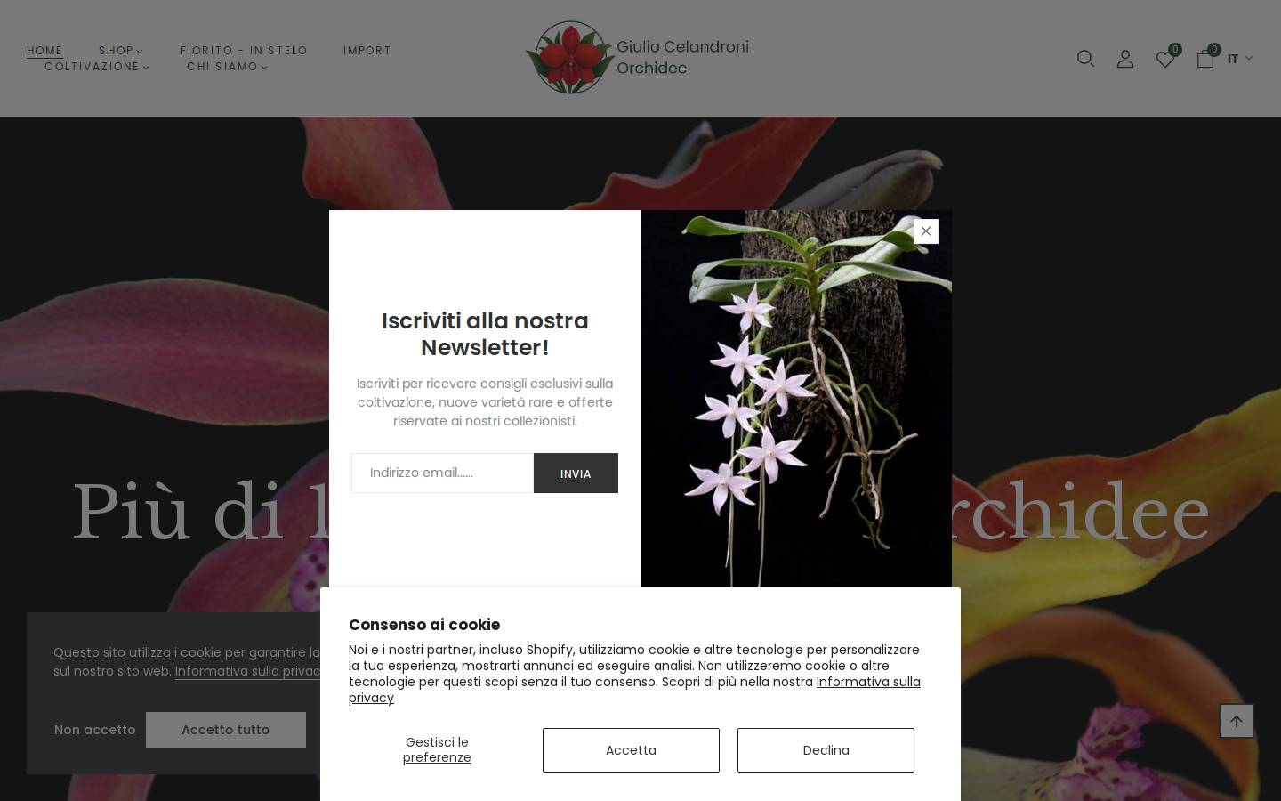 celaorchidee.it homepage screenshot