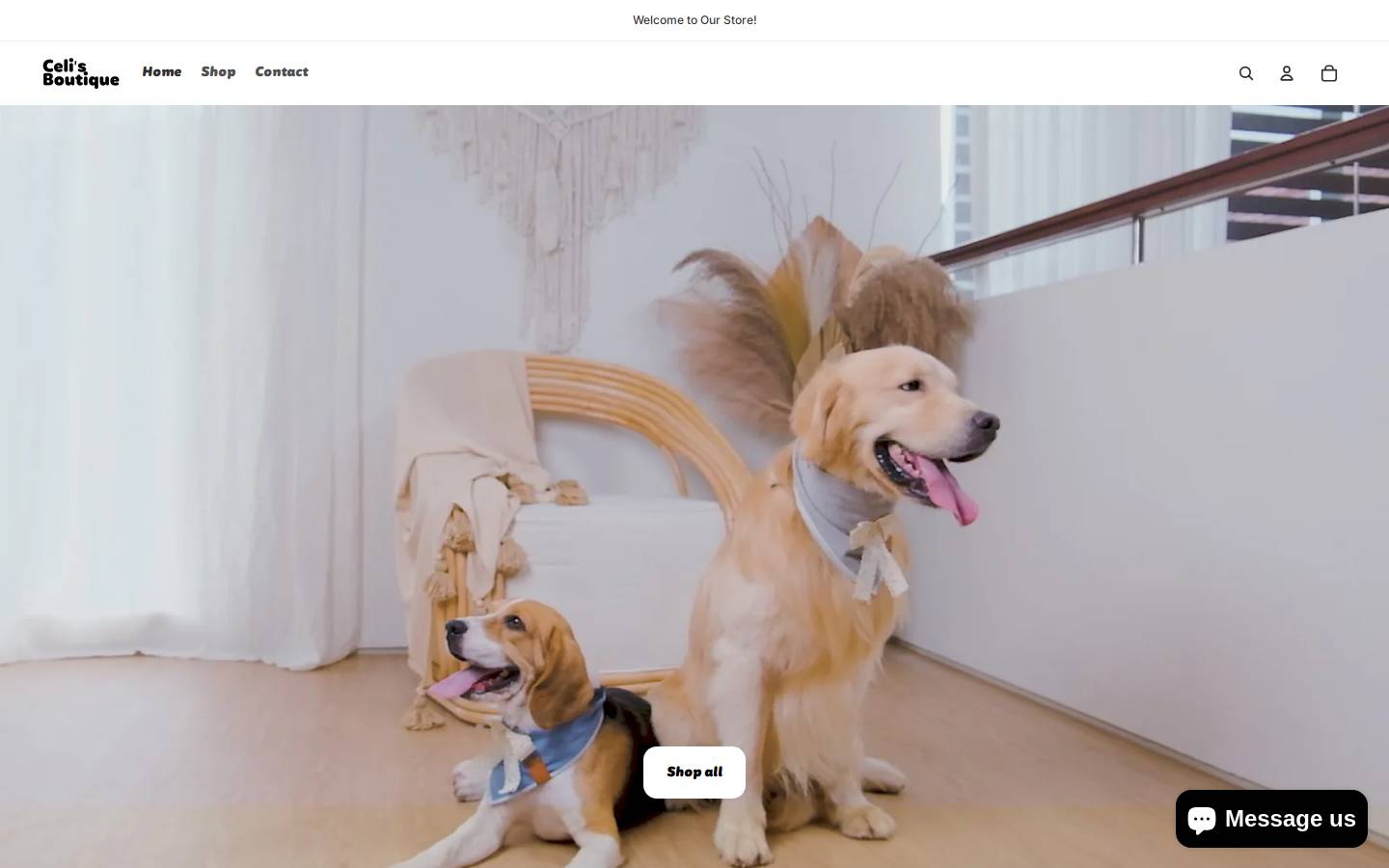 celisboutique.com homepage screenshot