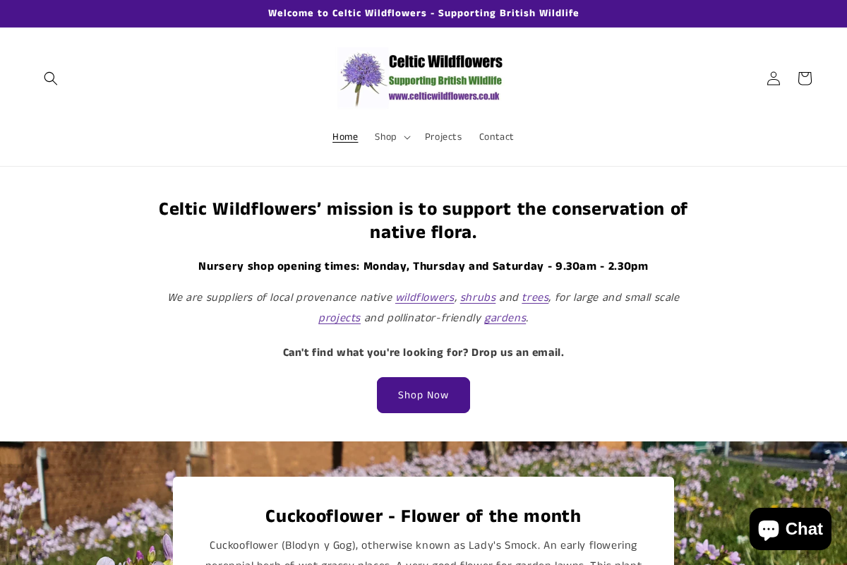 Celtic Wildflowers homepage screenshot