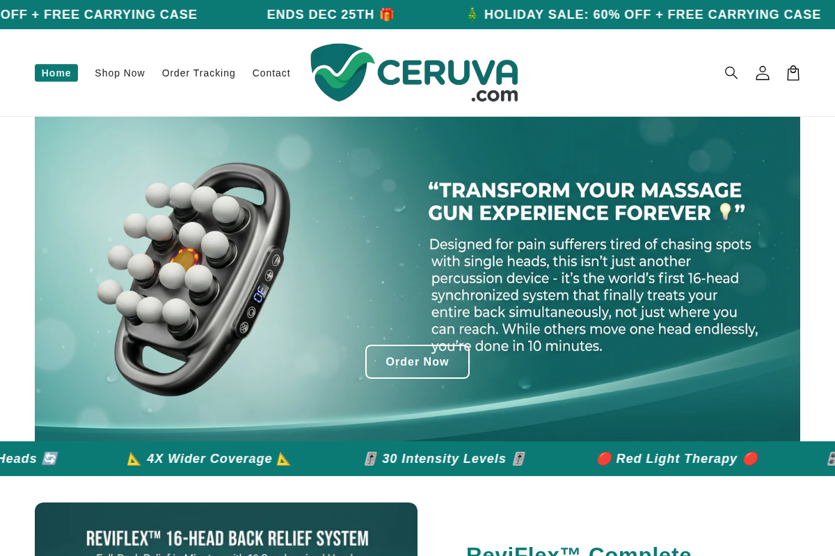 Ceruva homepage screenshot
