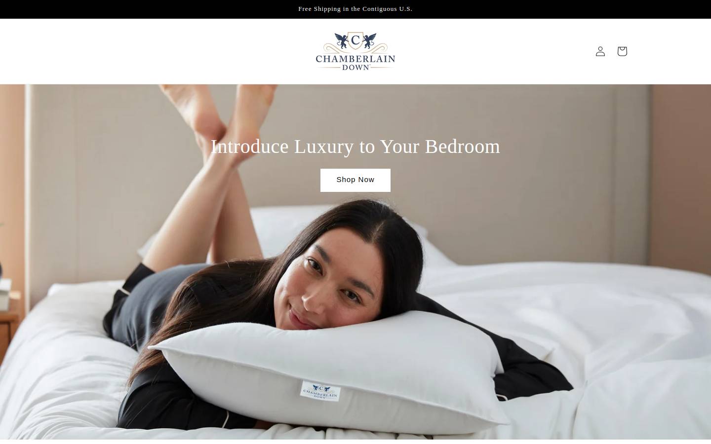 Chamberlaindown homepage screenshot