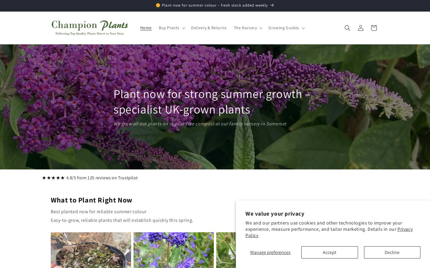 Championplants homepage screenshot