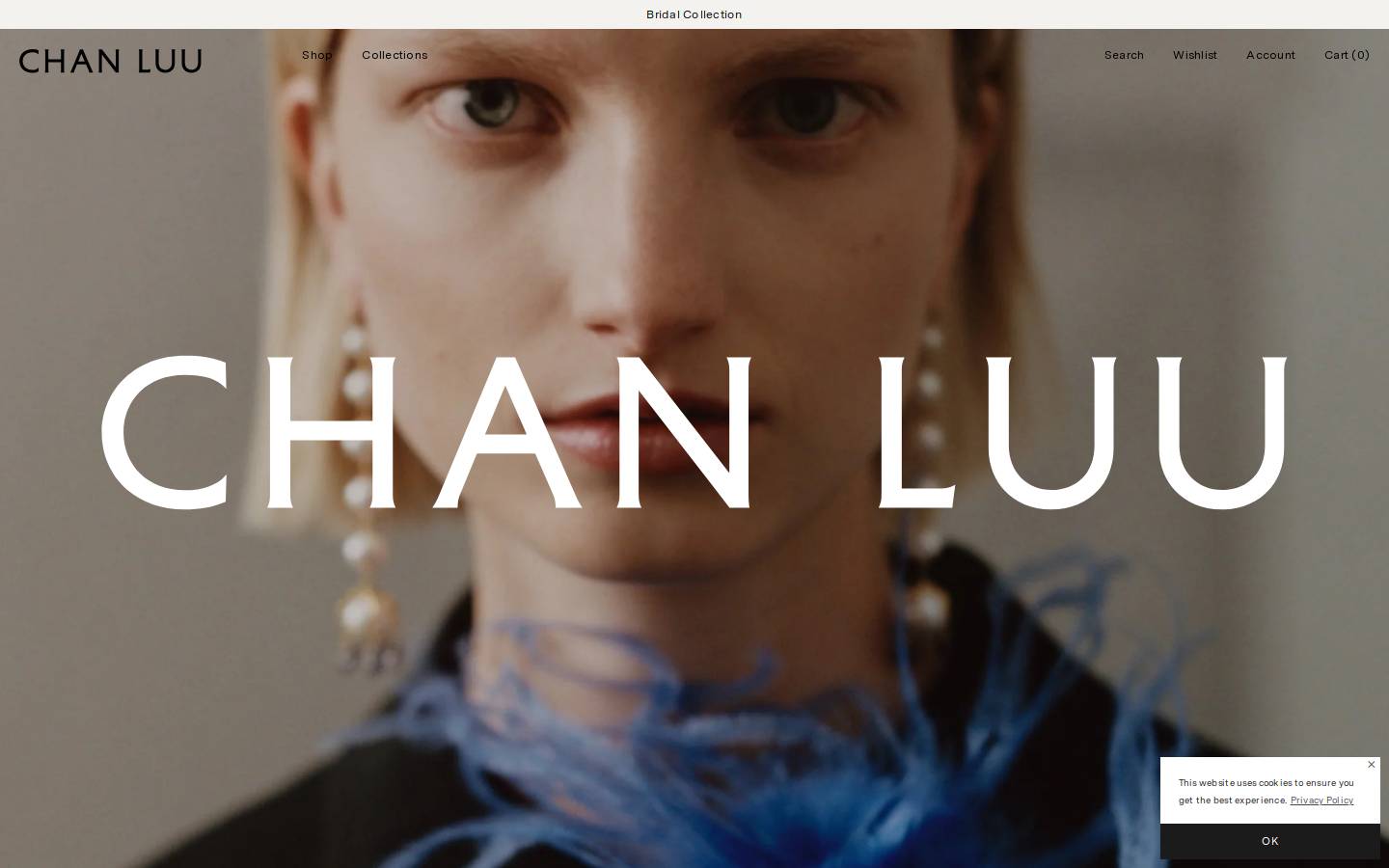Chan Luu homepage screenshot