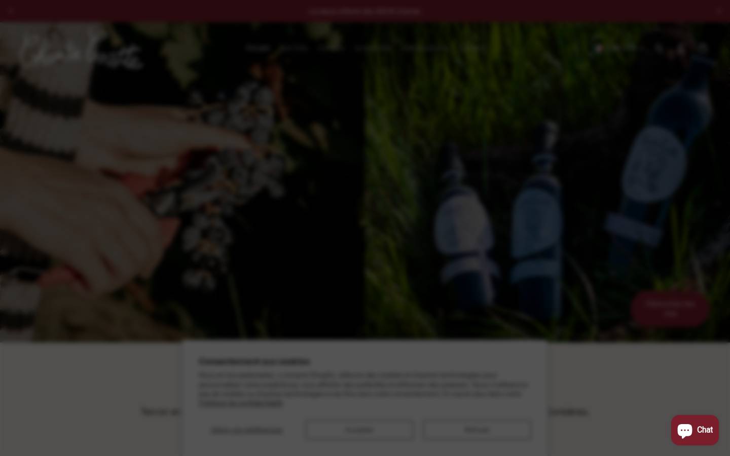 chantecocotte.com homepage screenshot