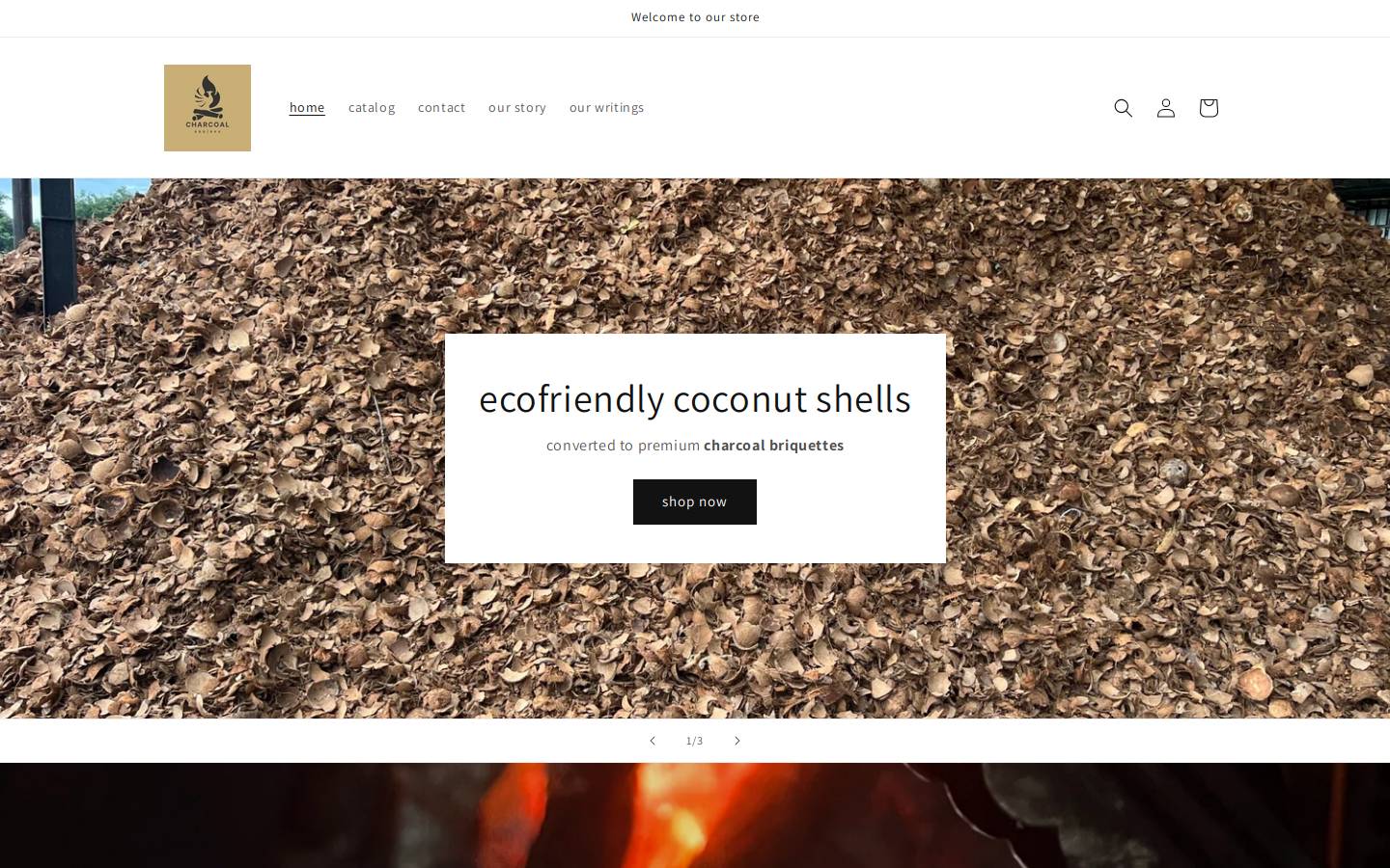 charcoalbbqbkk.com homepage screenshot