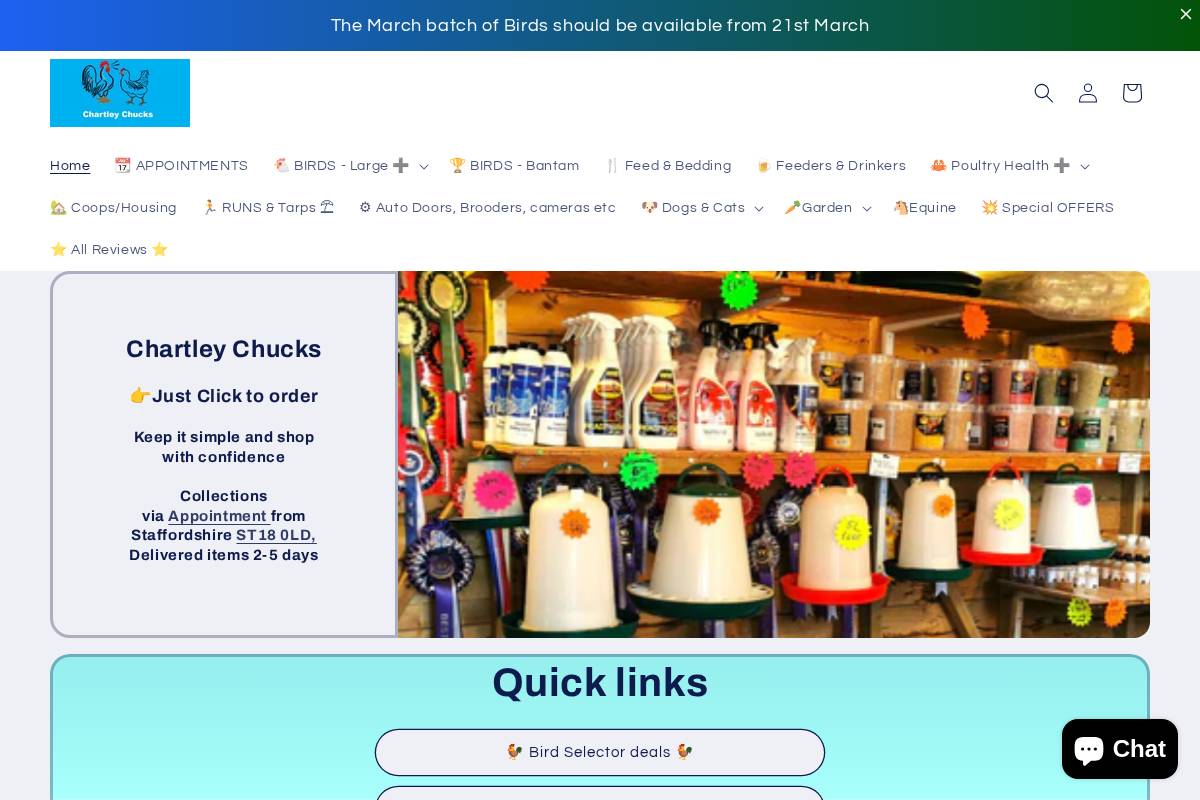 Shop homepage screenshot