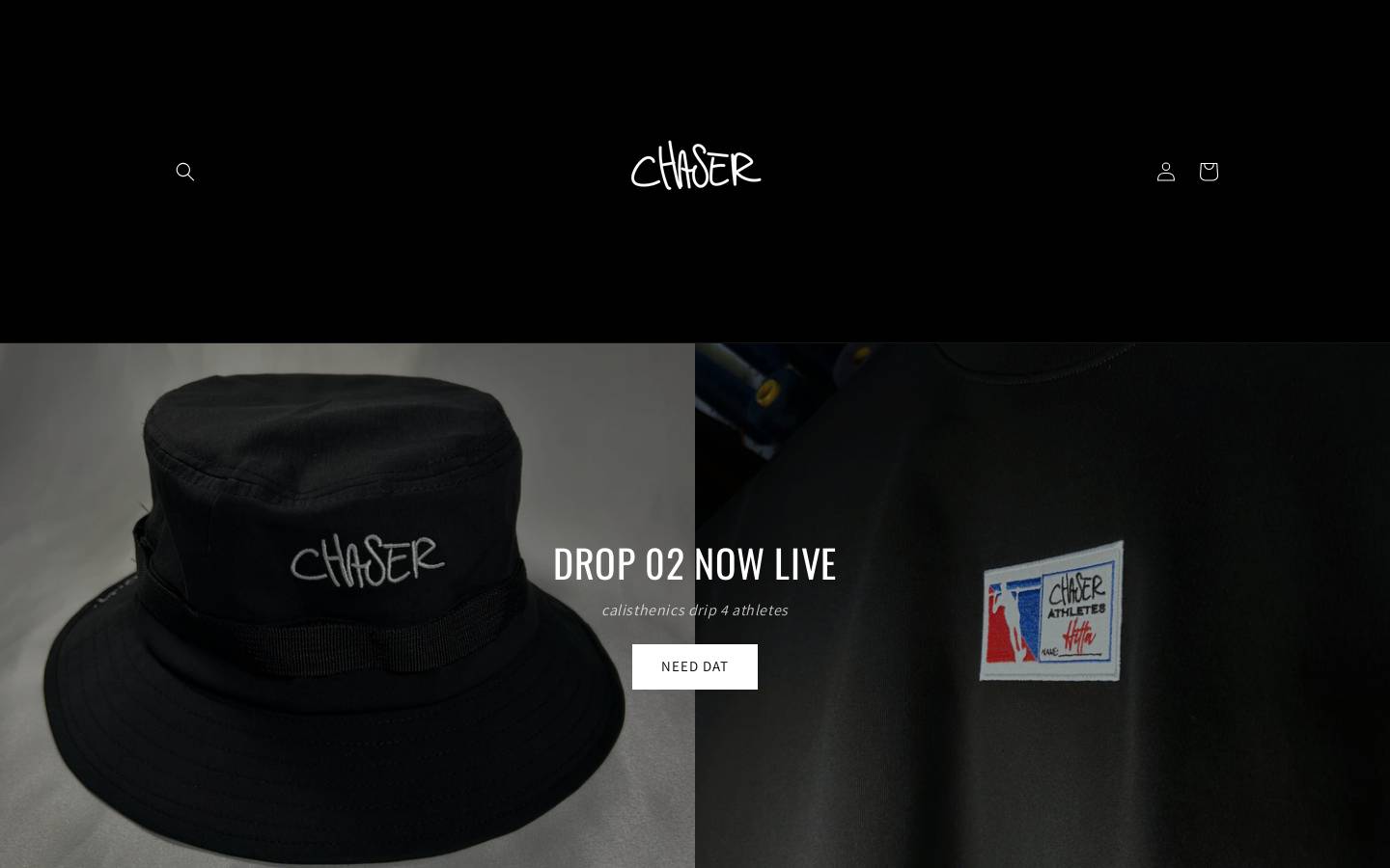 chasersacademy.world homepage screenshot