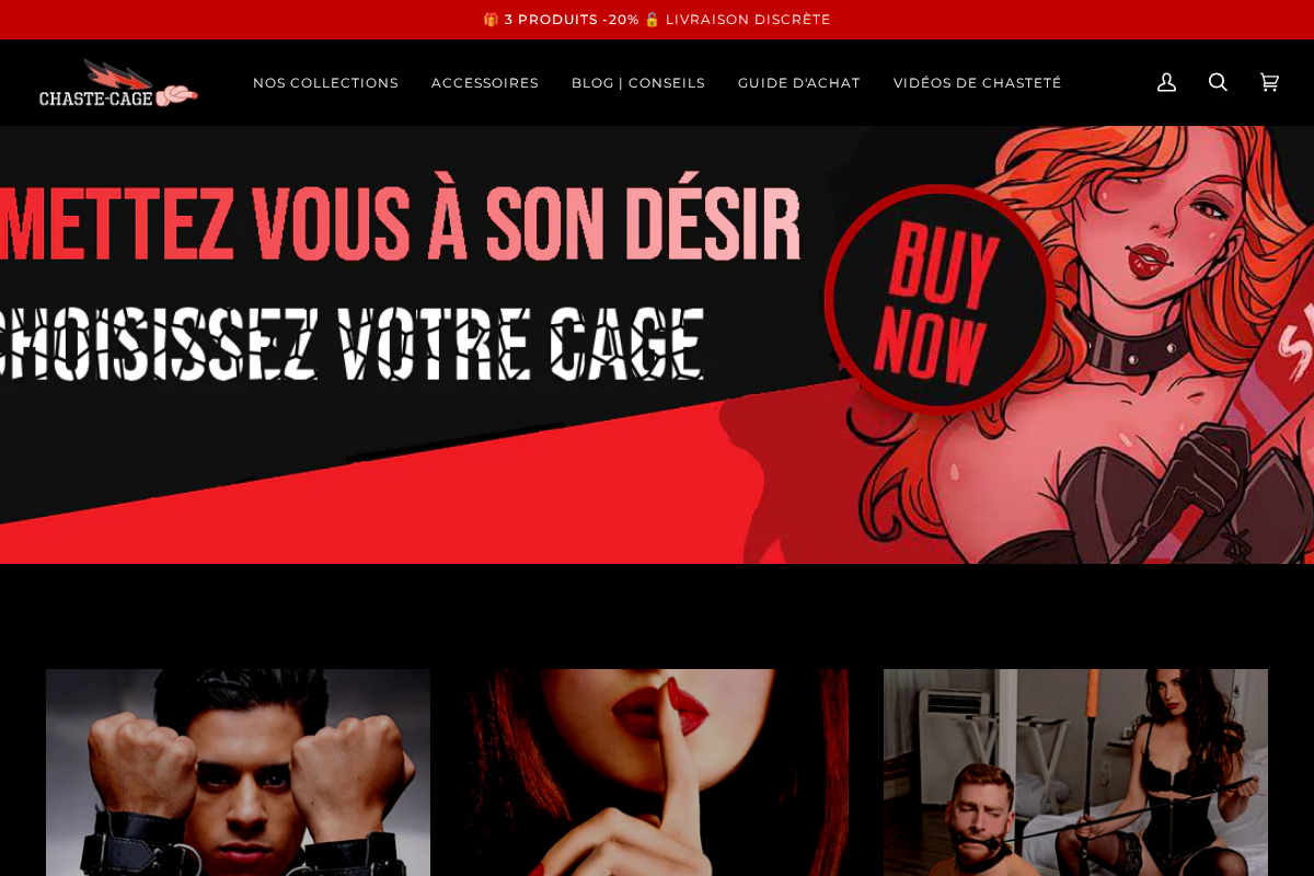 chaste-cage.fr homepage screenshot