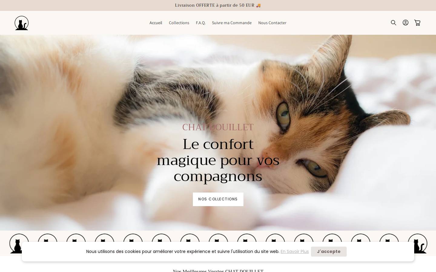 chatdouillet.com homepage screenshot