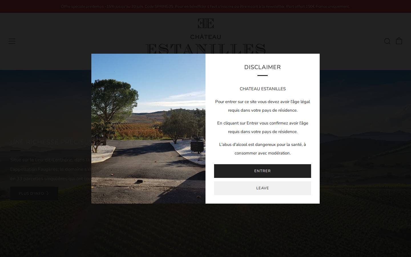 chateau-estanilles.com homepage screenshot