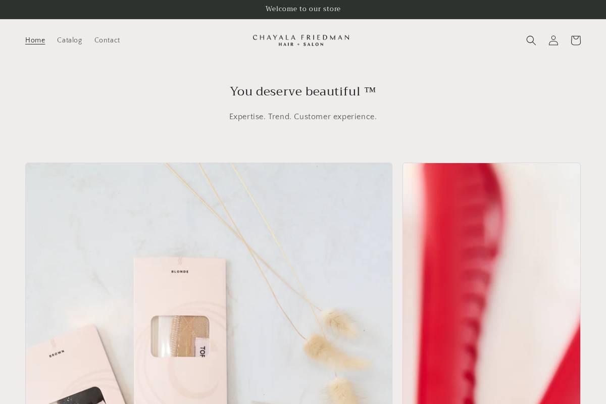 chayalafriedman.com homepage screenshot