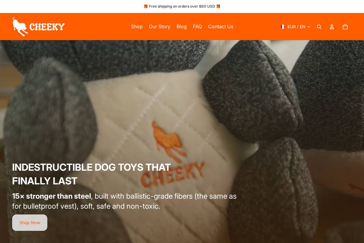 CHEEKY homepage screenshot