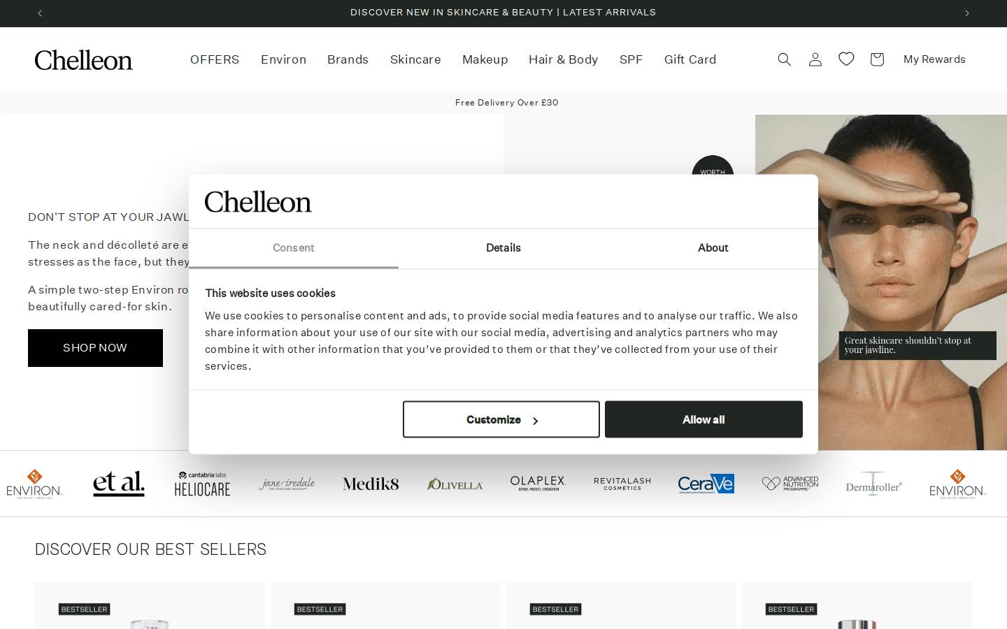 Chelleon  homepage screenshot