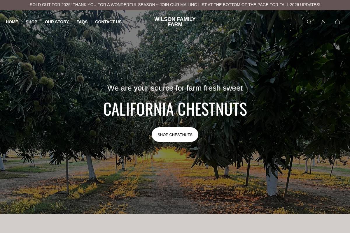 chestnutconnection.com homepage screenshot