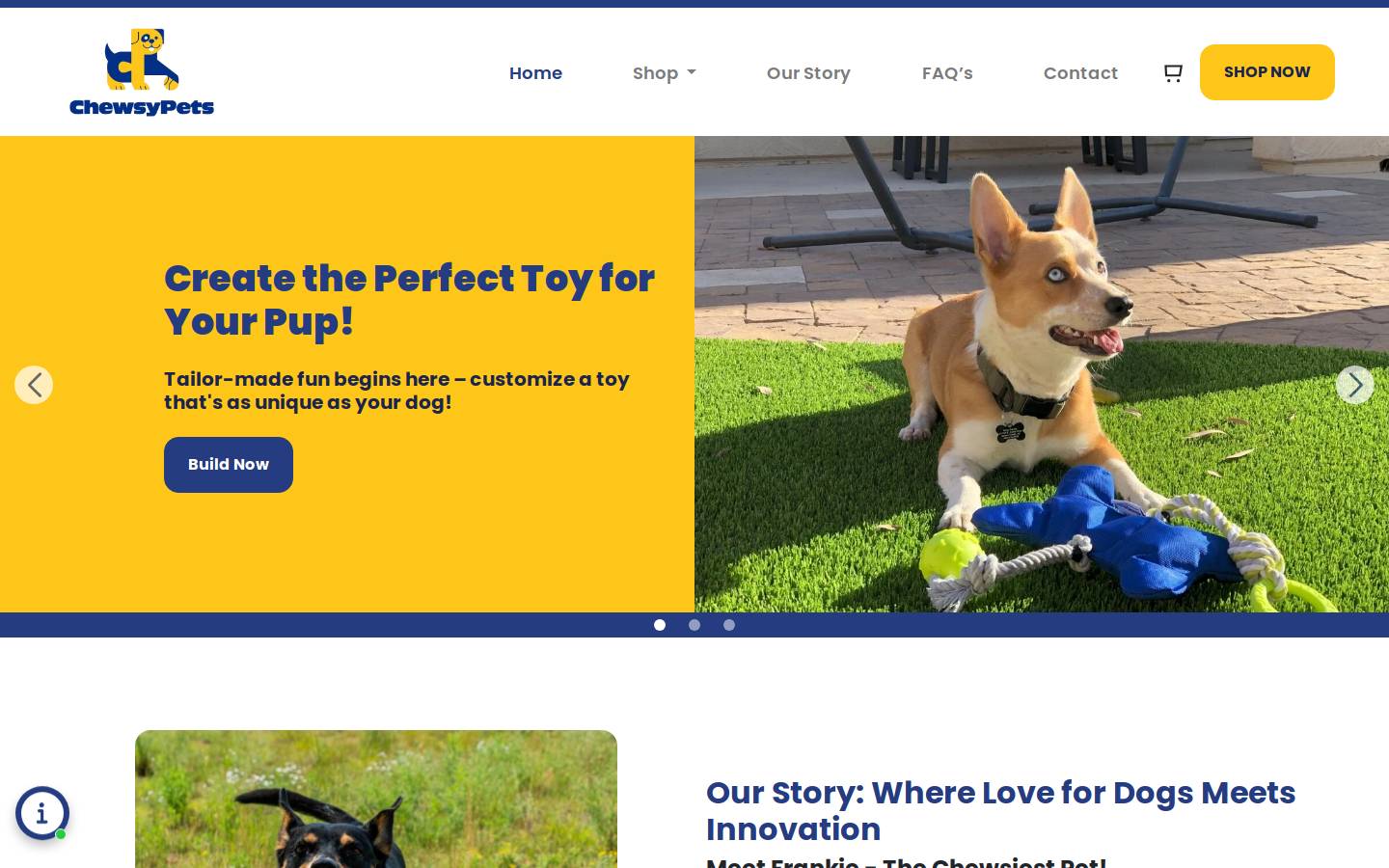 chewsy-pets.com homepage screenshot