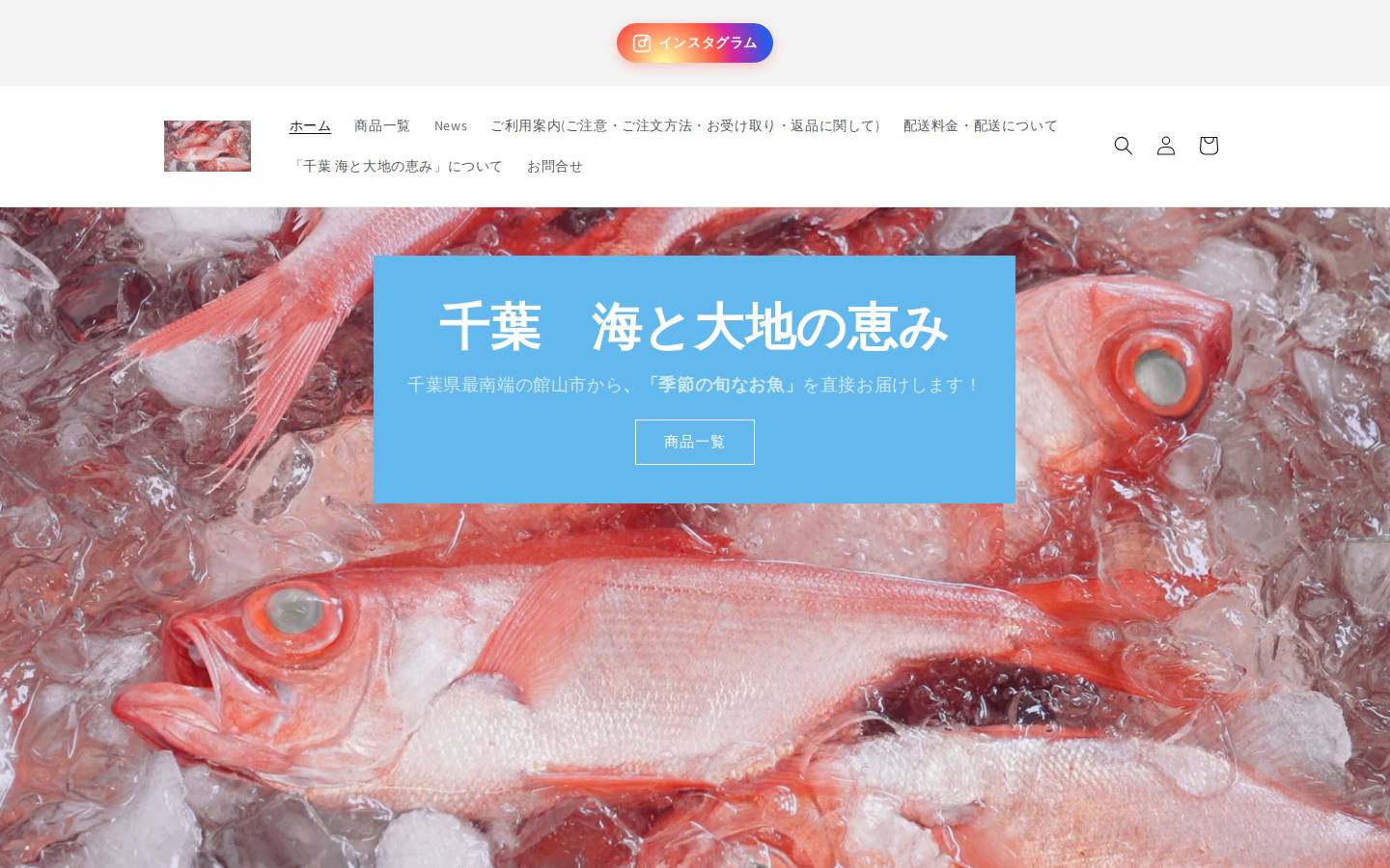 chiba-umi.com homepage screenshot