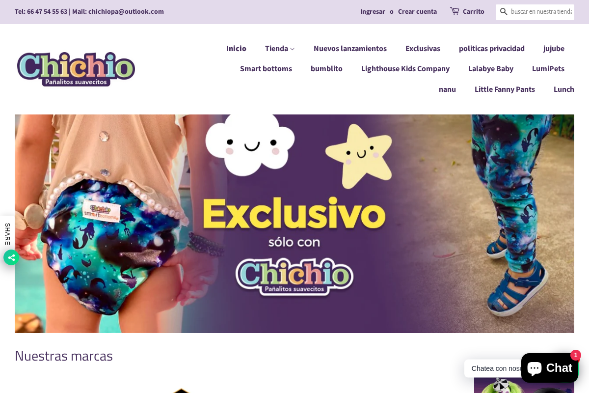 chichio.com.mx homepage screenshot