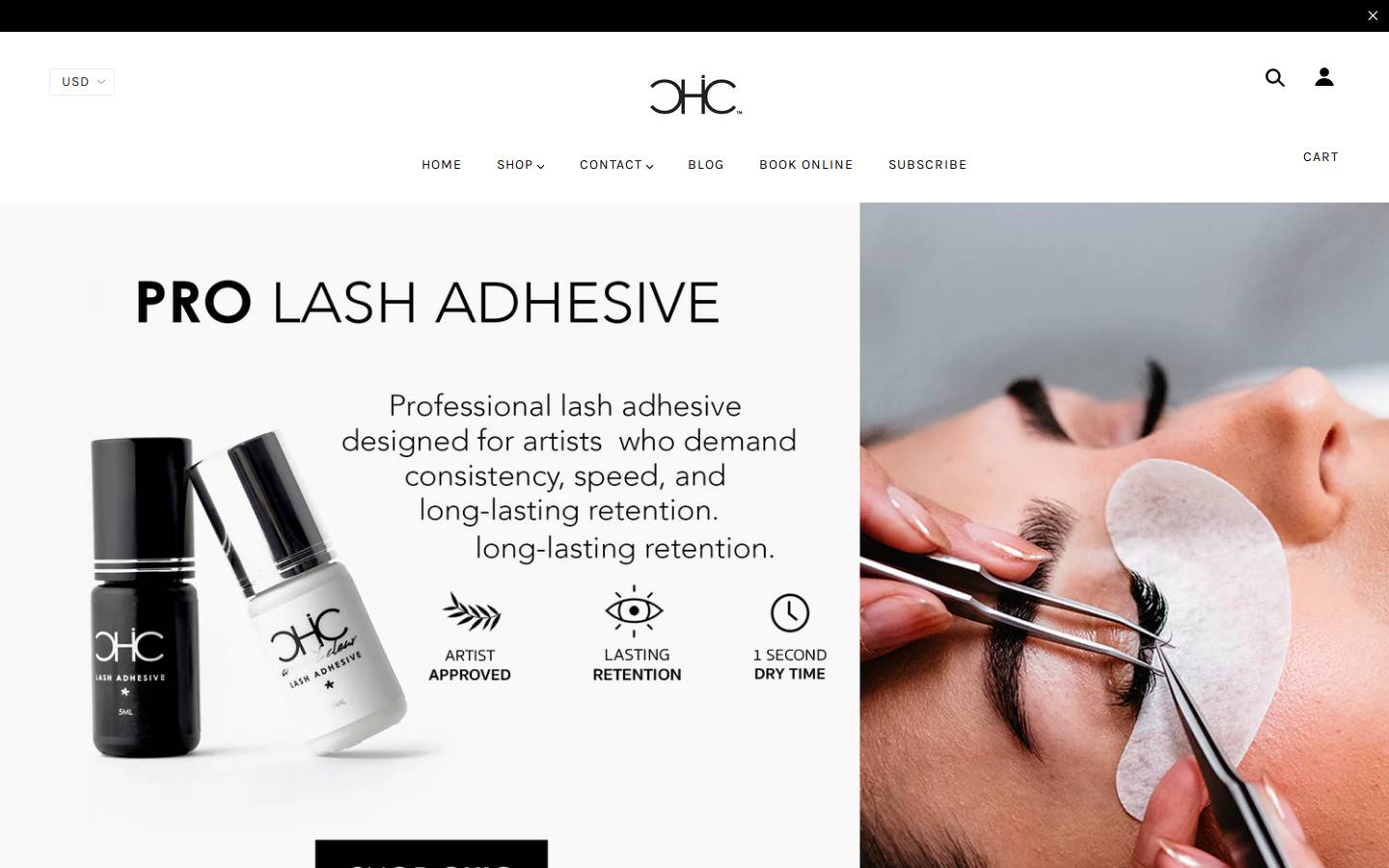 chicsincity.com homepage screenshot
